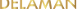 DELAMAN - Soluções WEB